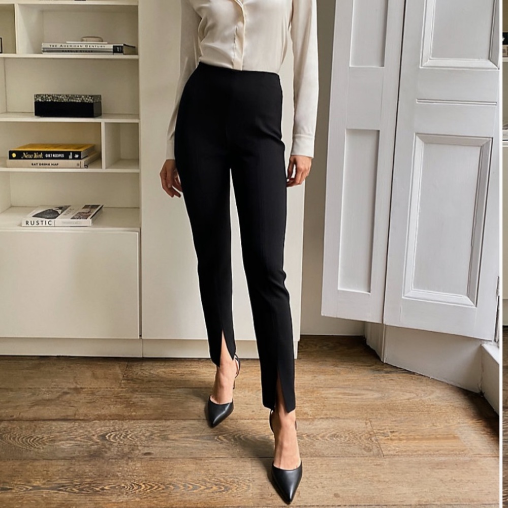 Babaton atelier jotham pant size 6